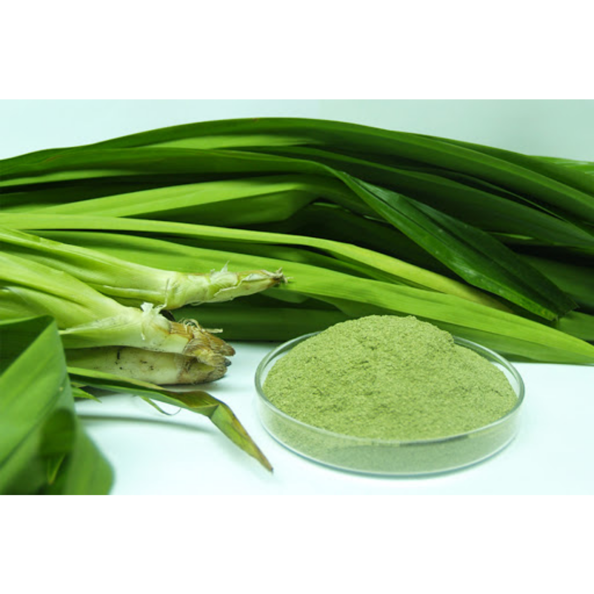 Pandan Powder 50g